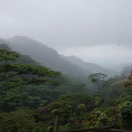 Bed and Breakfast Jungle Tree House Rangala Kandy Exterior foto
