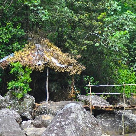 Bed and Breakfast Jungle Tree House Rangala Kandy Exterior foto