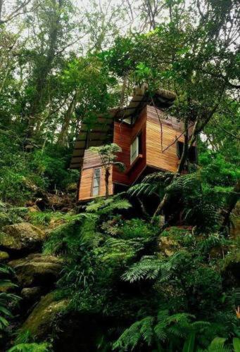 Bed and Breakfast Jungle Tree House Rangala Kandy Exterior foto