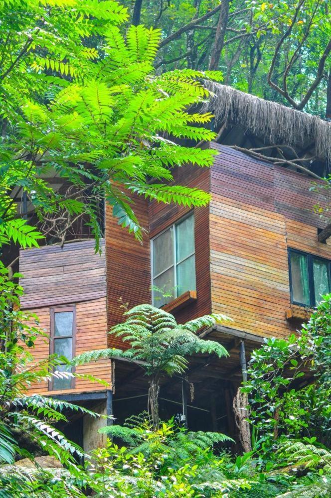 Bed and Breakfast Jungle Tree House Rangala Kandy Exterior foto