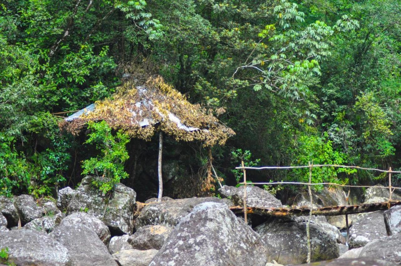Bed and Breakfast Jungle Tree House Rangala Kandy Exterior foto