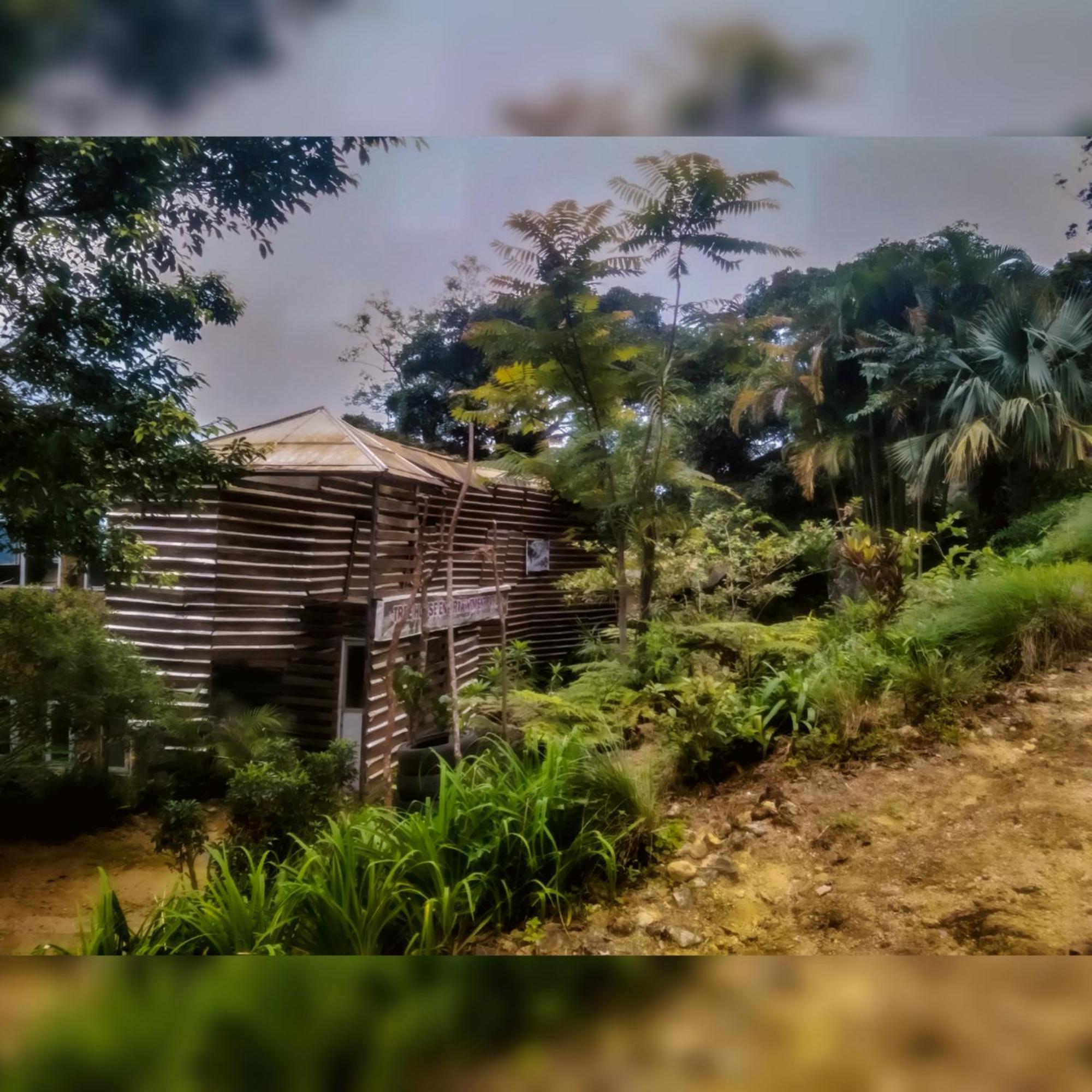 Bed and Breakfast Jungle Tree House Rangala Kandy Exterior foto